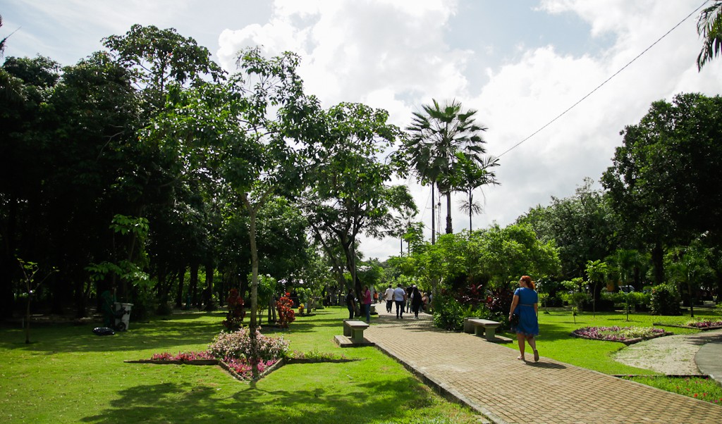 a imagem mostra as plantas e passeio do parque do passaré